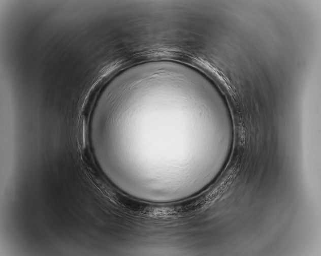 X0000096201219200802081533