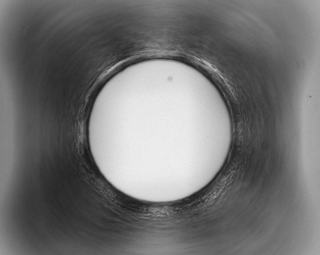 X0000096201220200802081533