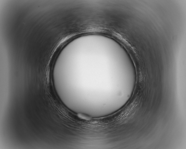 X0000096201222200802081533