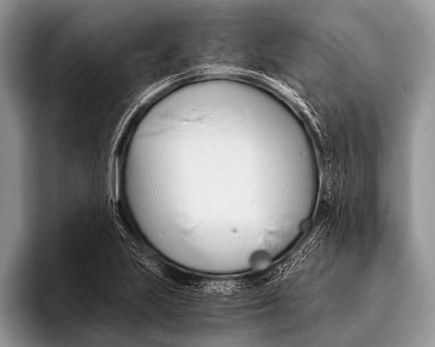 X0000096201223200802081533