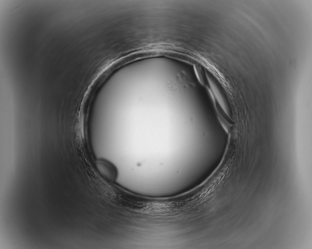 X0000096201224200802081533