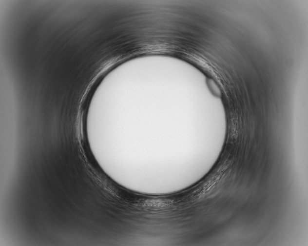 X0000096201227200802081533