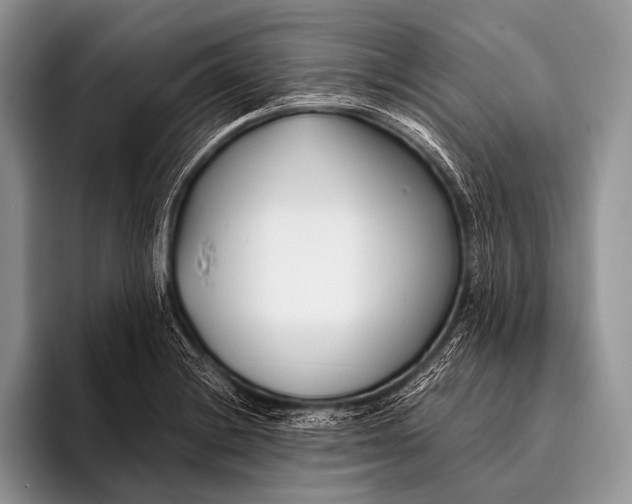 X0000096201228200802081533