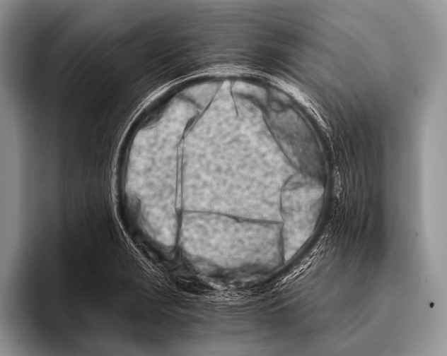 X0000096201229200802081533