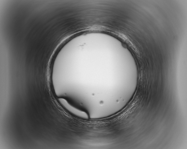 X0000096201232200802081533