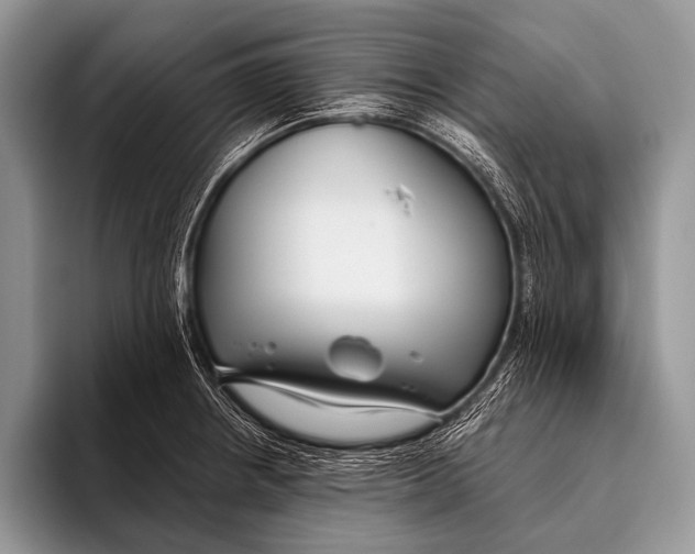 X0000096201234200802081533