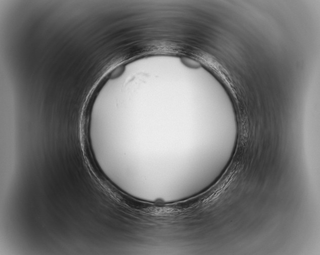 X0000096201235200802081533