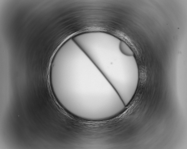 X0000096201236200802081534