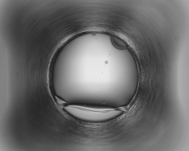 X0000096201237200802081534