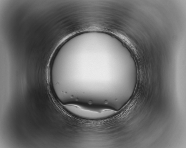 X0000096201238200802081534