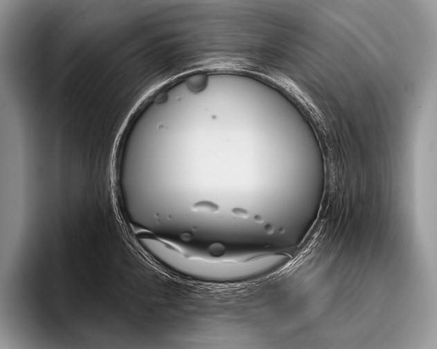 X0000096201240200802081534