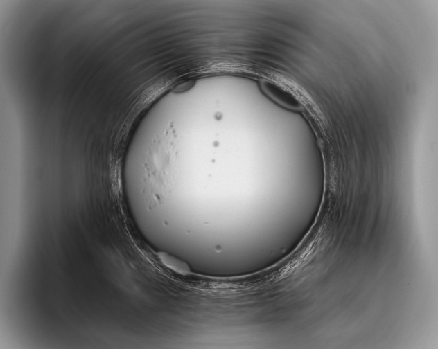 X0000096201241200802081534