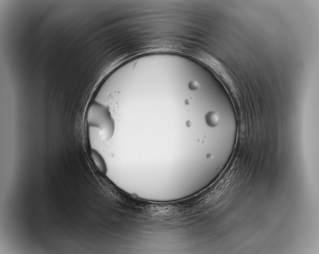 X0000096201242200802081534