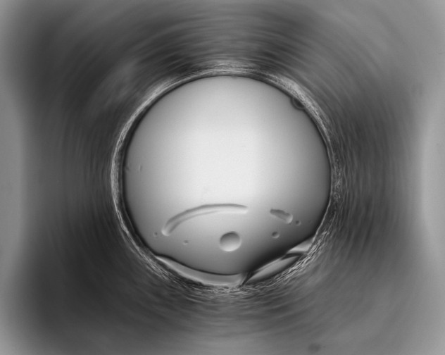 X0000096201243200802081534