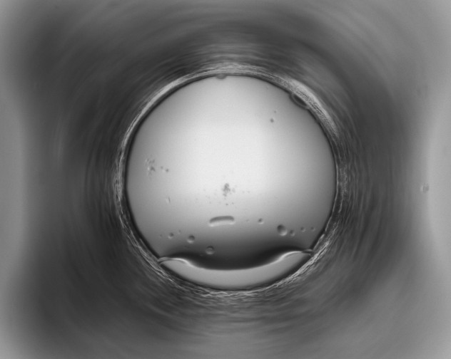 X0000096201244200802081534