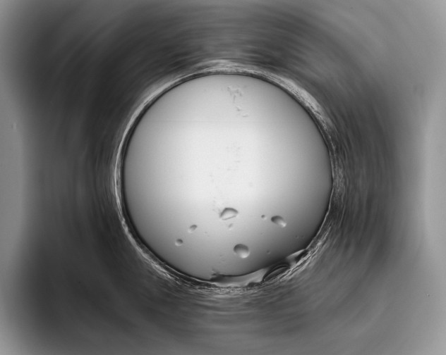 X0000096201247200802081534