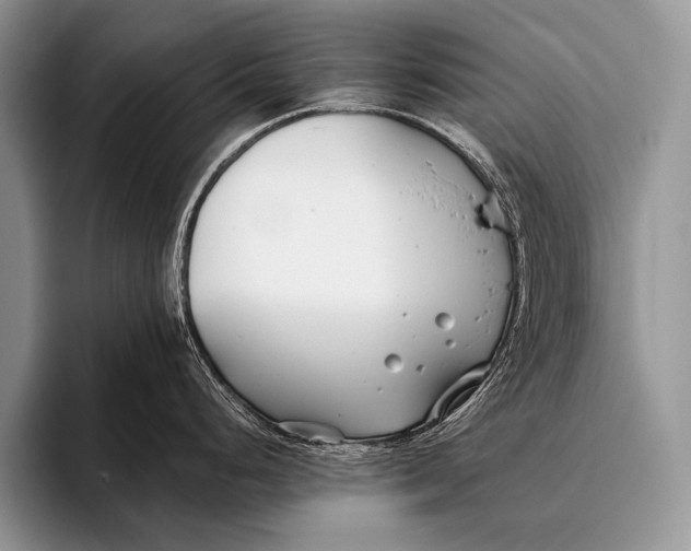 X0000096201248200802081534