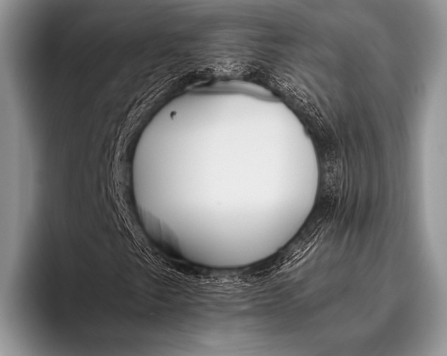 X0000096201249200802081533