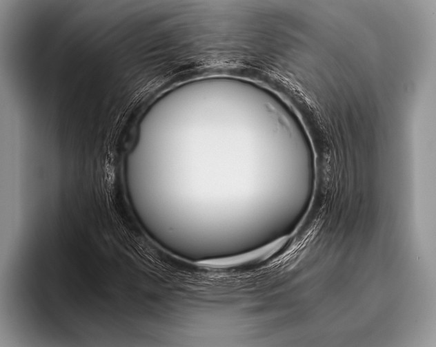 X0000096201257200802081533