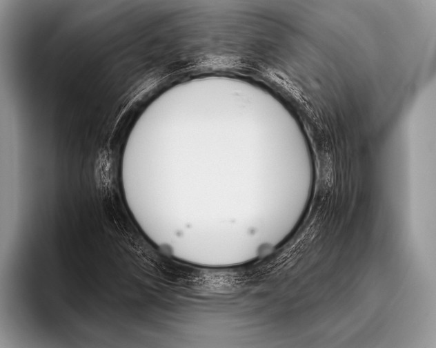 X0000096201258200802081533