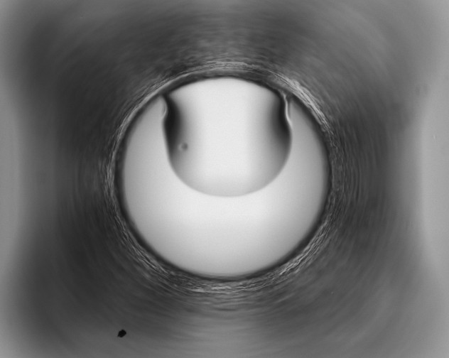 X0000096201260200802081533