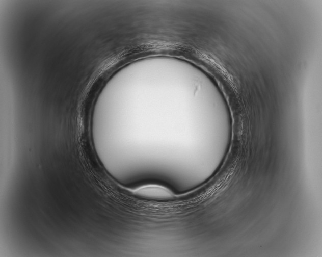 X0000096201261200802081533