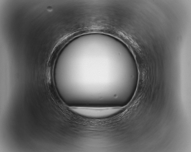 X0000096201262200802081533