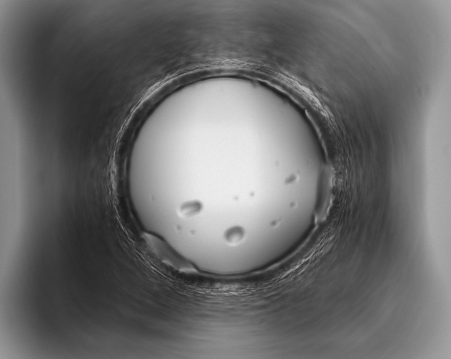 X0000096201264200802081533