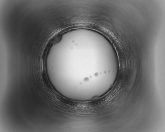 X0000096201267200802081533