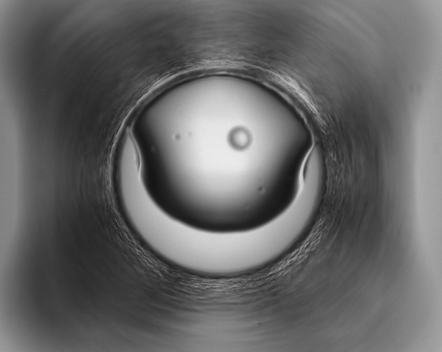 X0000096201268200802081533