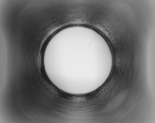 X0000096201270200802081533