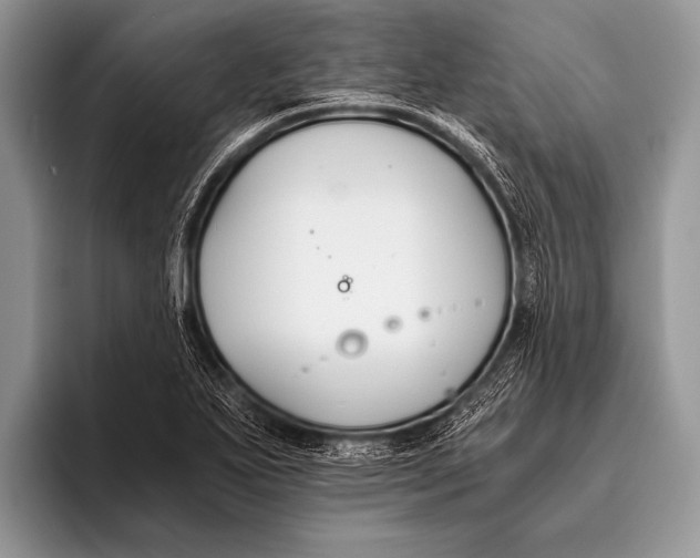 X0000096201271200802081533