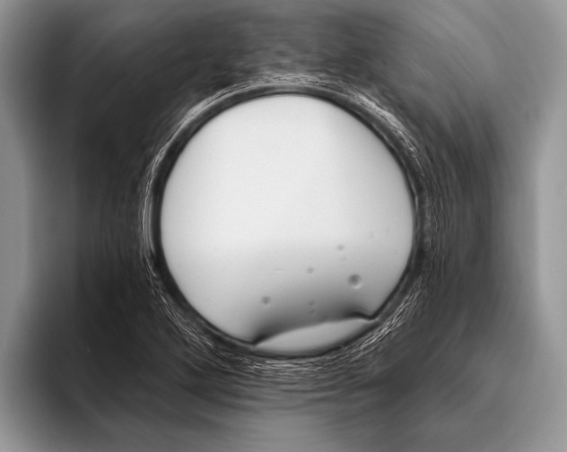 X0000096201272200802081533