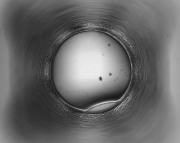 X0000096201273200802081533