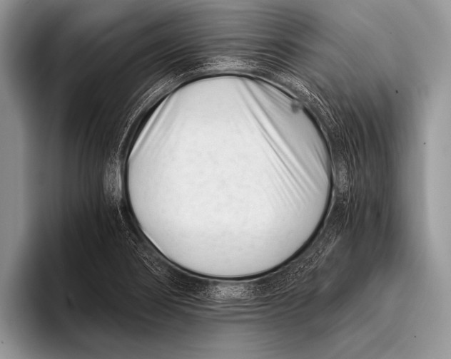 X0000096201274200802081533