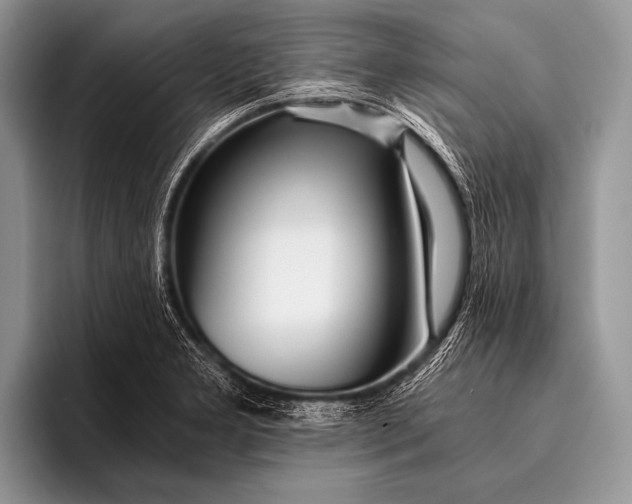 X0000096201277200802081533