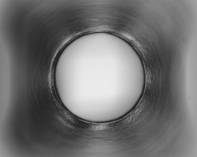 X0000096201278200802081533