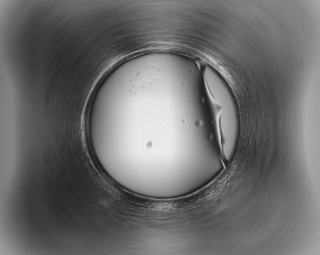 X0000096201283200802081533