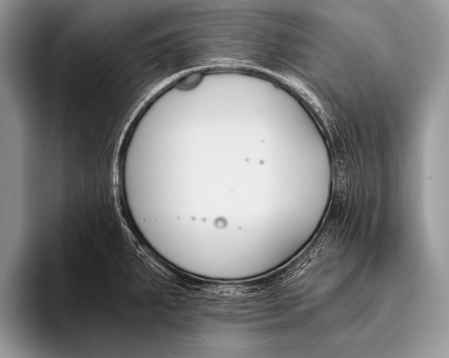 X0000096201287200802081533