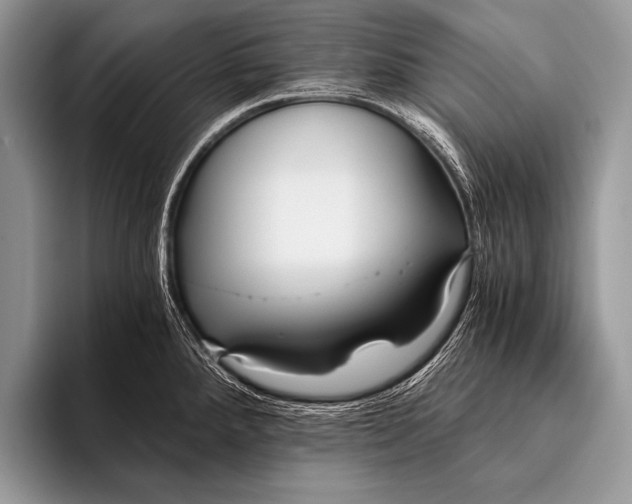 X0000096201288200802081533