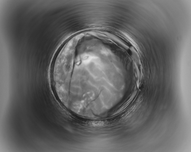 X0000096201291200802081532