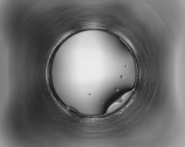 X0000096201293200802081532