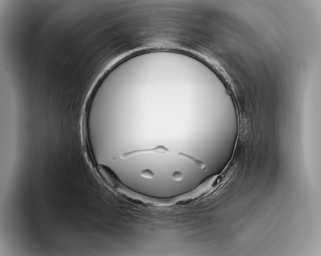 X0000096201295200802081532