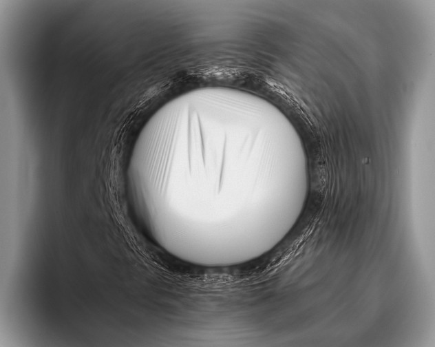 X0000096201297200802081532