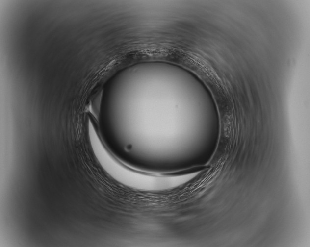 X0000096201298200802081532