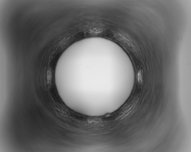 X0000096201299200802081532