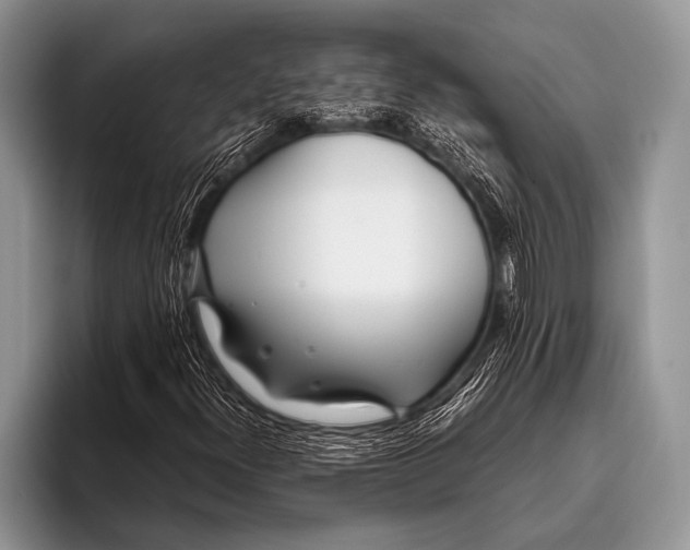 X0000096201300200802081532