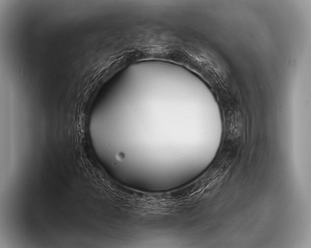 X0000096201301200802081532