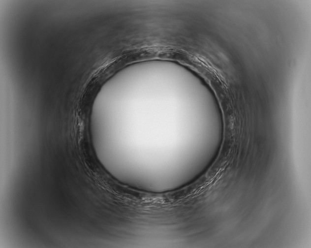 X0000096201302200802081532