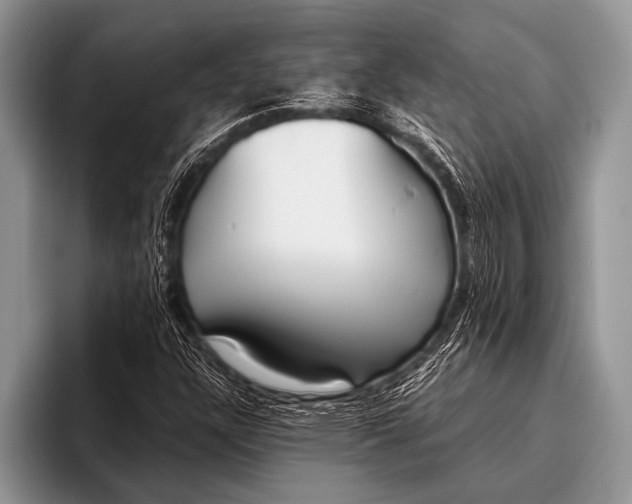 X0000096201304200802081532